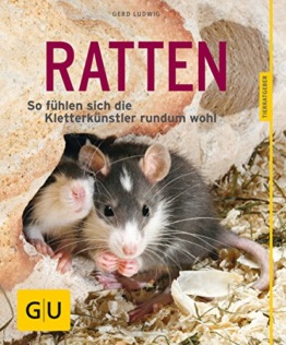 Ratten als Heimtiere, glücklich & gesund gelb 12 x 3,5 cm: So fühlen sich die Kletterkünstler rundum wohl (GU Tierratgeber) - 1